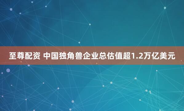 至尊配资 中国独角兽企业总估值超1.2万亿美元